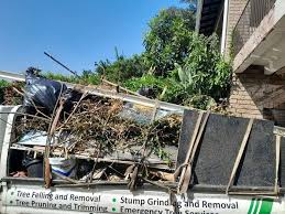 Best Dumpster Rental Services  in Grant City, MO